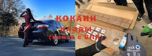индика Балабаново