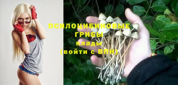 Альфа ПВП Баксан