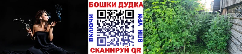 Конопля планчик Балахна